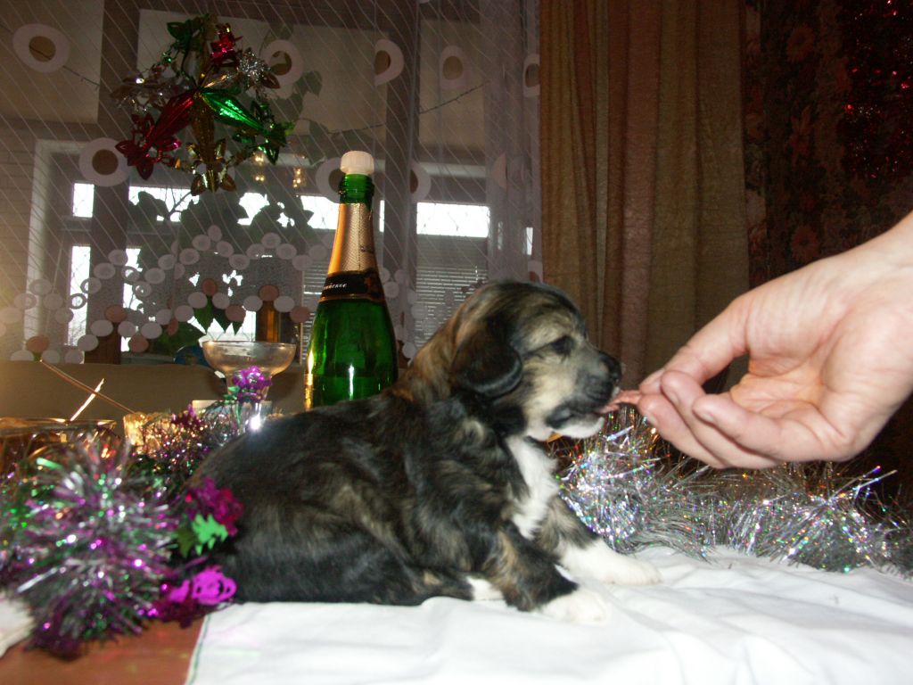 Anastasiya Kapel'ka Solntsa