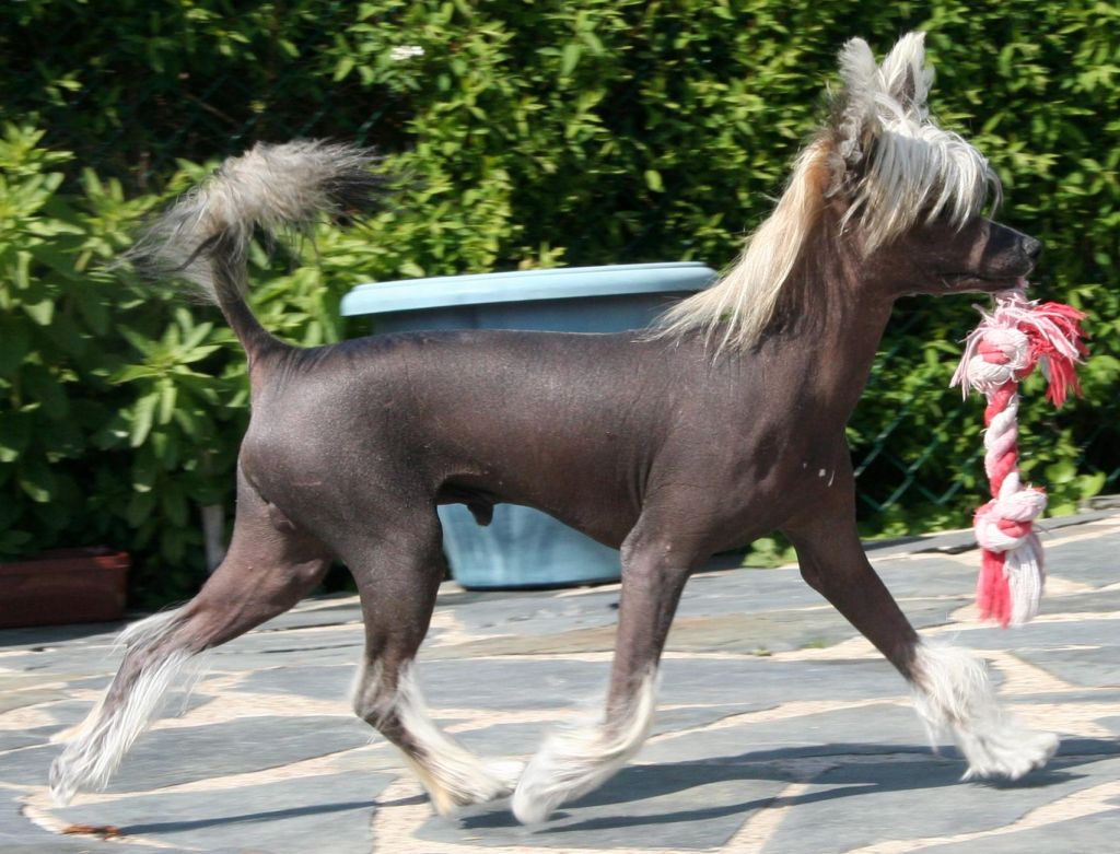 Absolute Souls Rhythm Divine