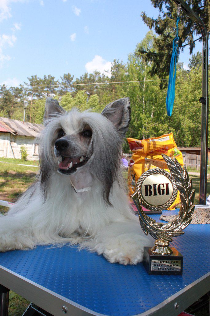 Oks Company  New Generation