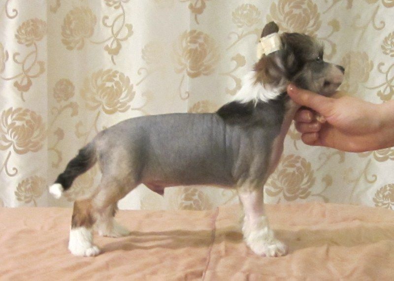 Kuminaaman Ma Im Rock