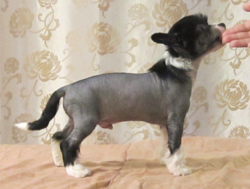 Kuminaaman My Party Rock