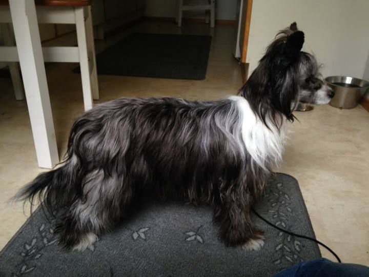 Kuminaaman Million Kisses