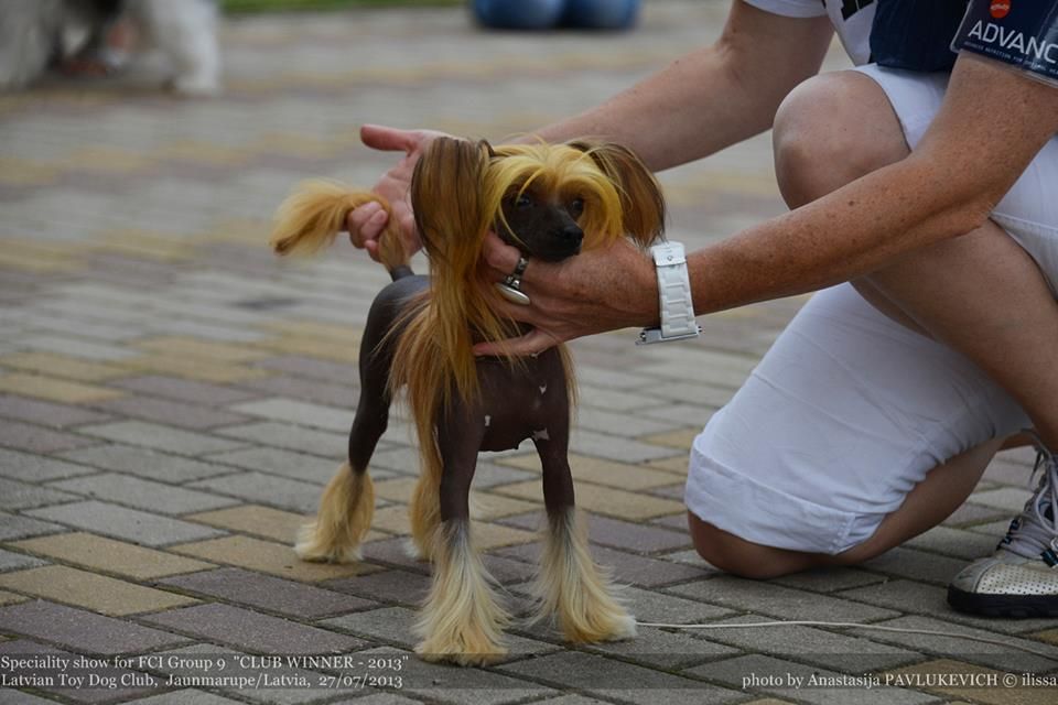 Kroshechka-havroshechka S Buhty Appolona