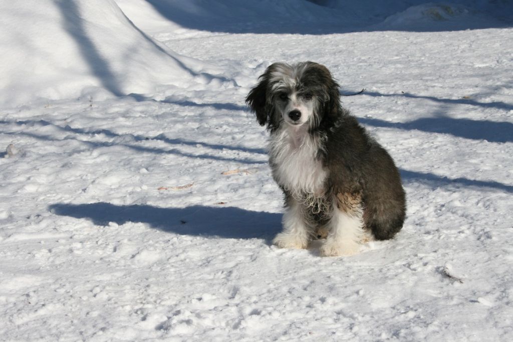 Bella Konstanta Nina Richi