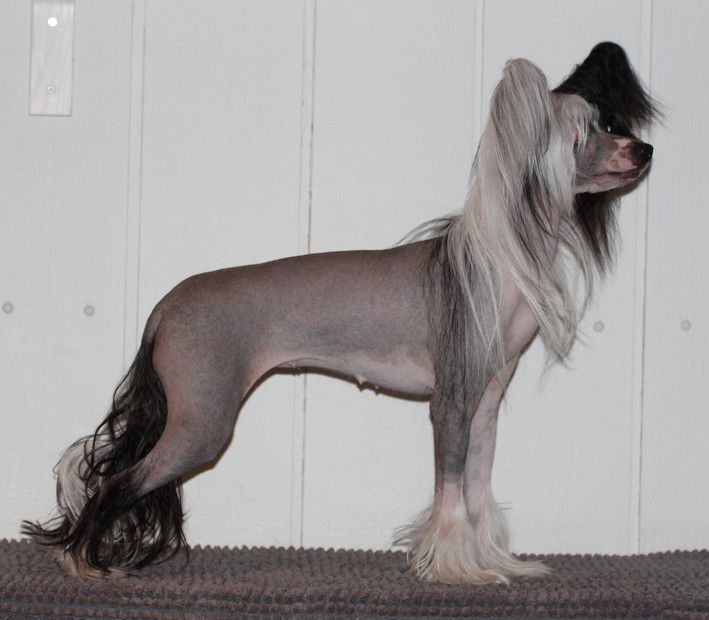 Maybell's November Rain