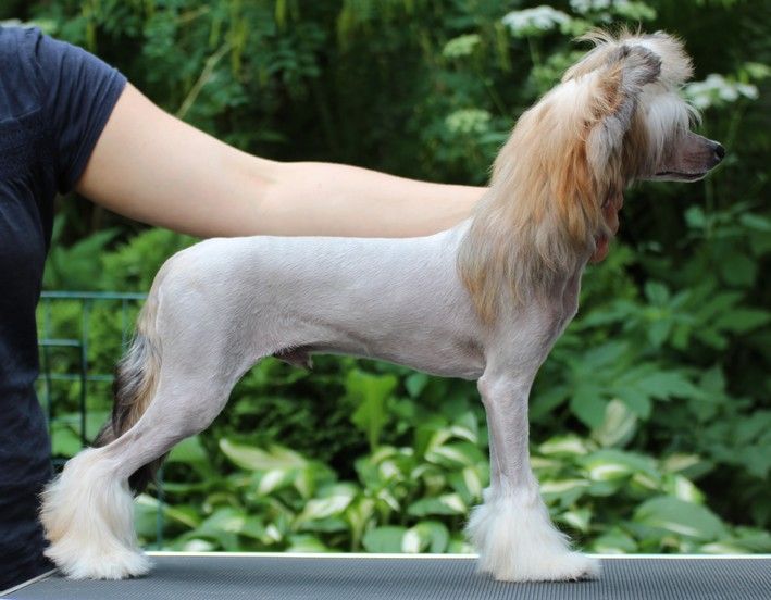 Maybell's Ours Not Yours