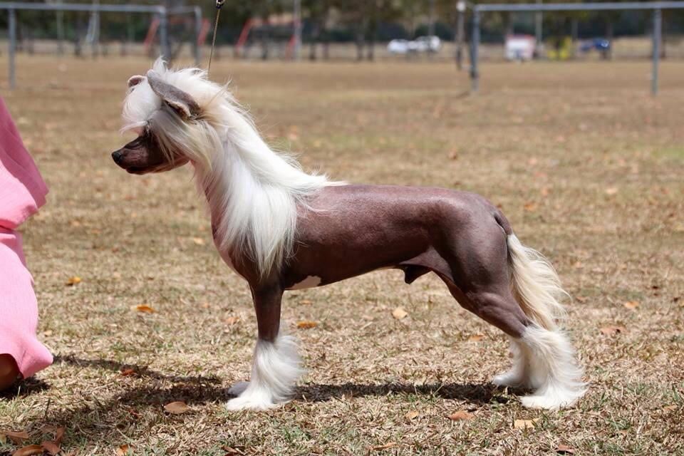 Casmai Raise Your Glass