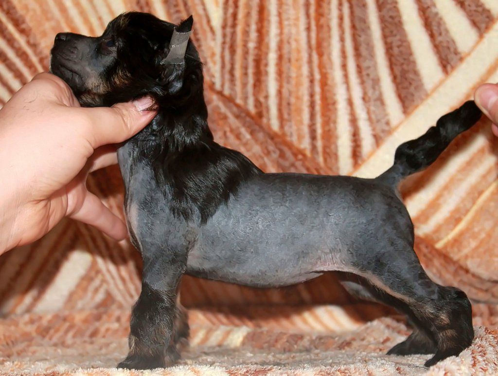 Katrin Molosos Gratzi