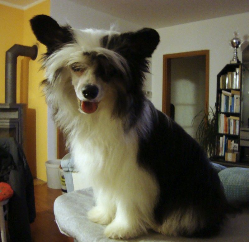 Fleur de Amour Puff Lásky dar