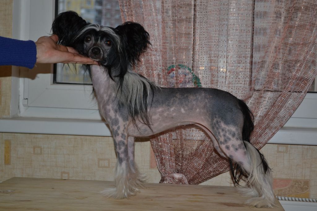 Landkris Zetta Emma Brooks