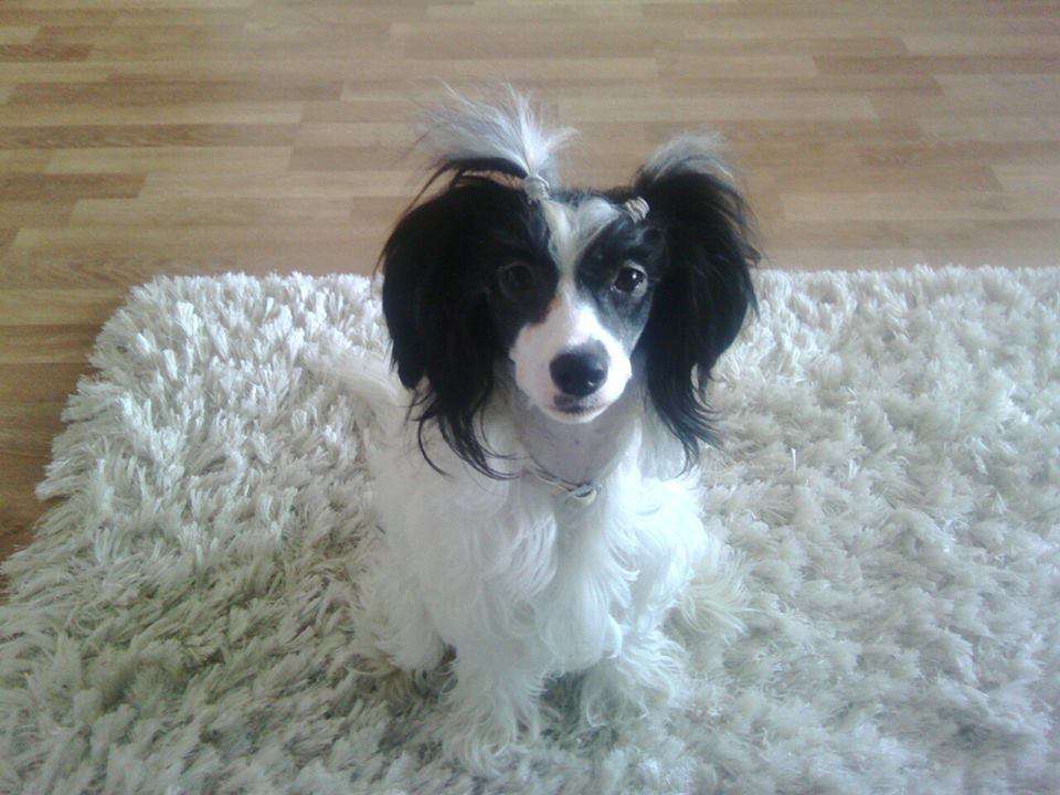 Landkris Zoe Claire Deschanel