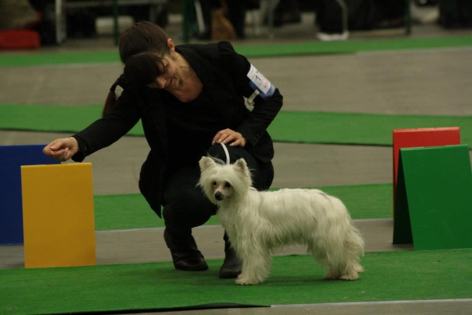 Lickershamns Hand-I-Hand