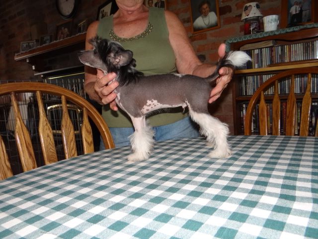 Lesmars Lord Of The Underworld