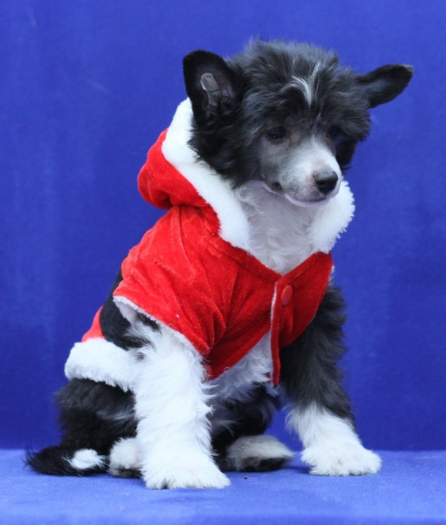 Nyu Art Trudno Bitj Bogom