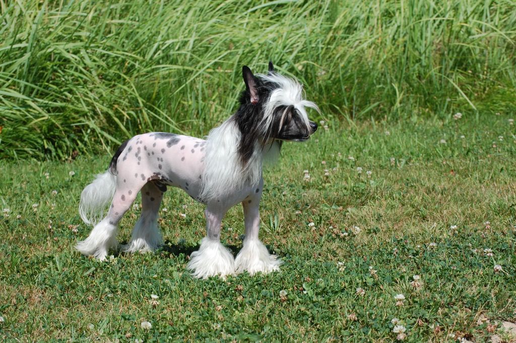 Just a Minute Little Charmings.