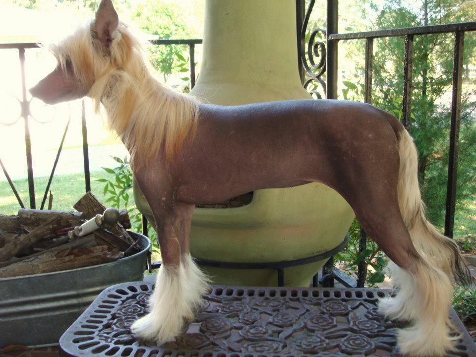 Trinity's Best Kept Secret at Epic