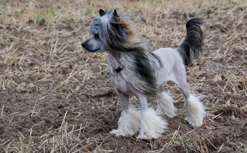 Forseti's El Floridita