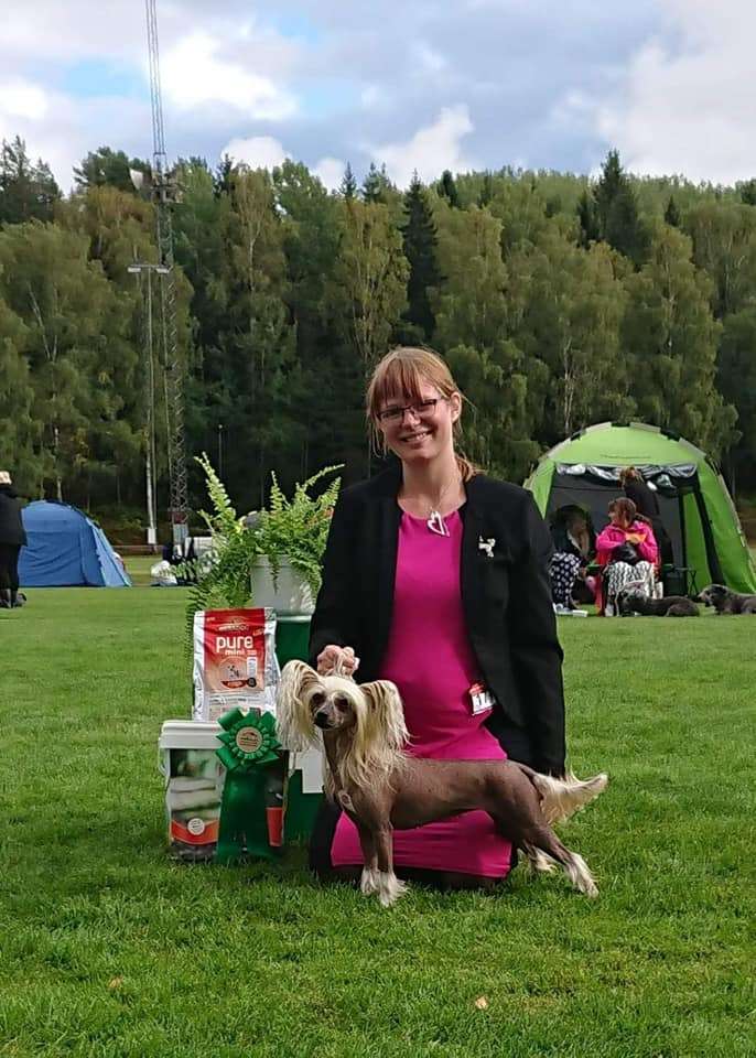 Drömtorpet's Jasmine by Hamlet