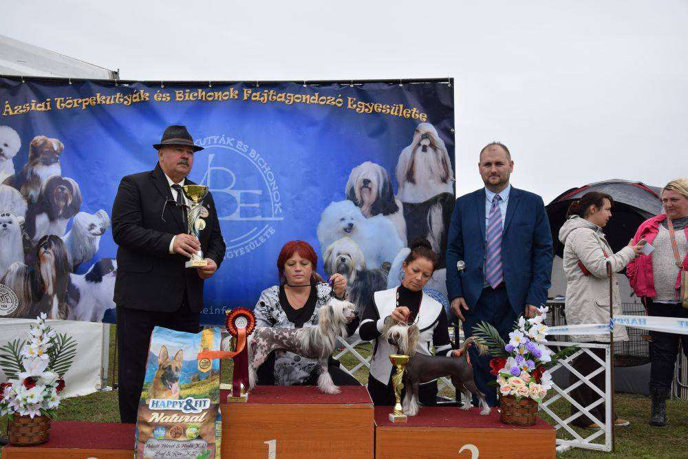 Anna Sky Kennel Oscar