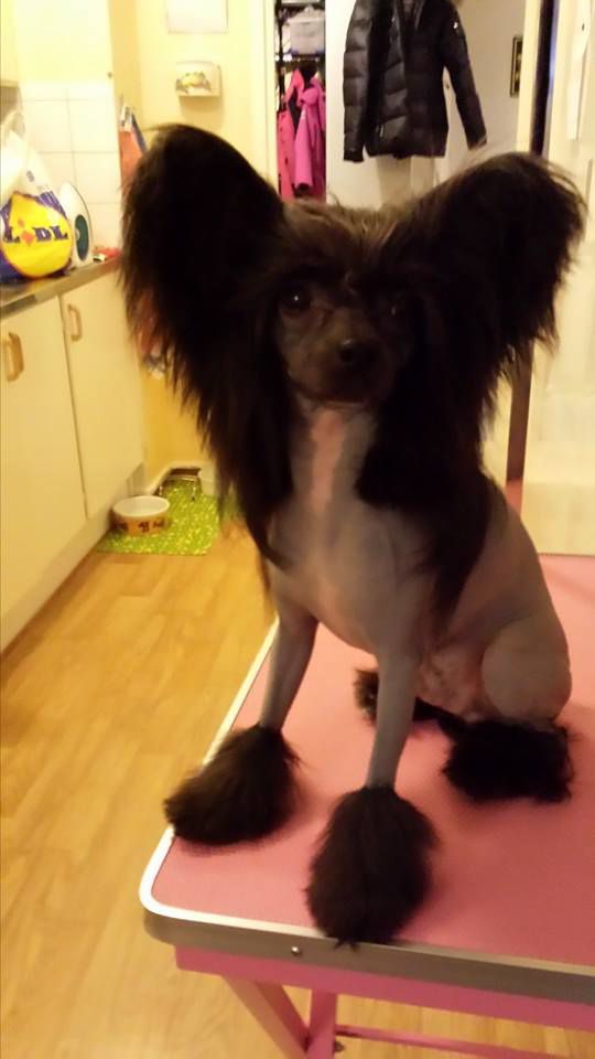 Ixtri's Black Moon Rising