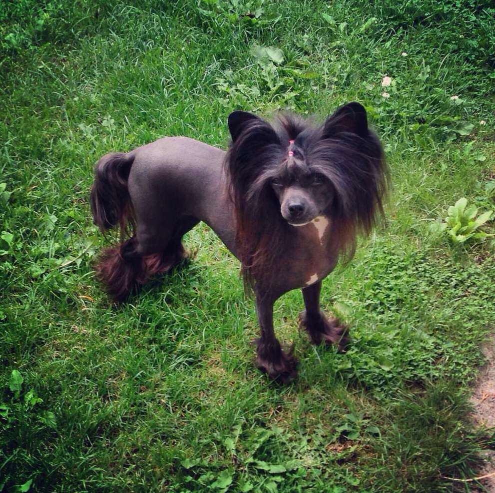 Ixtri's Brag About Me