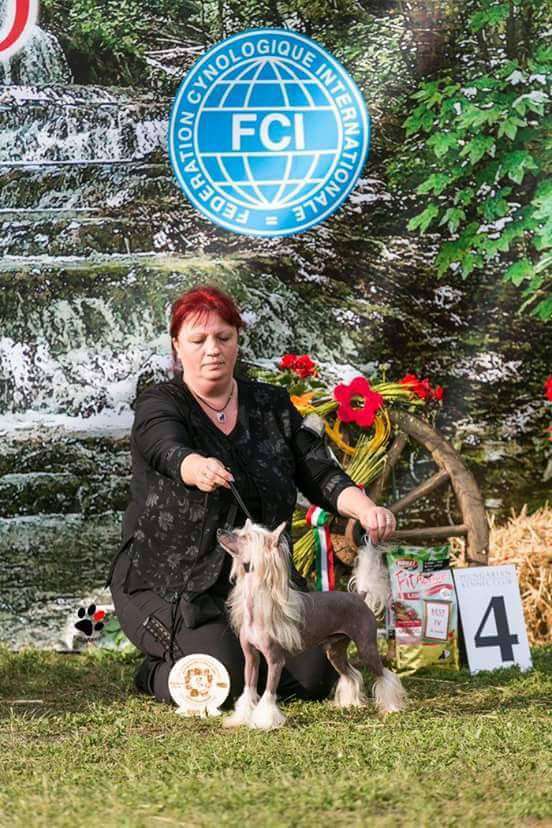 Keep The Faith Princes de la Roses