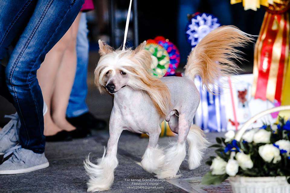 Grand Sunlife Rock-n-Roll