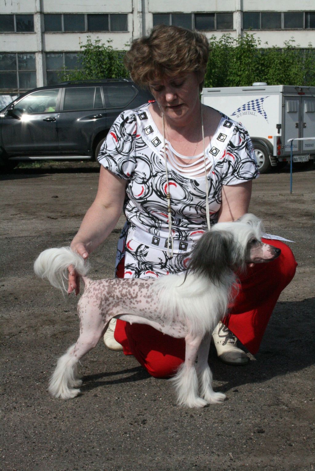 Armani Sharm Born To Win