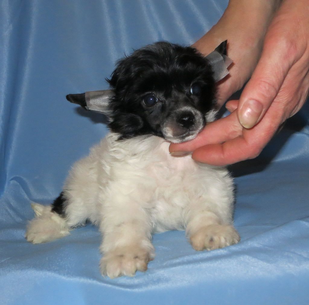 Vernisazh Mari Vini Vinilita