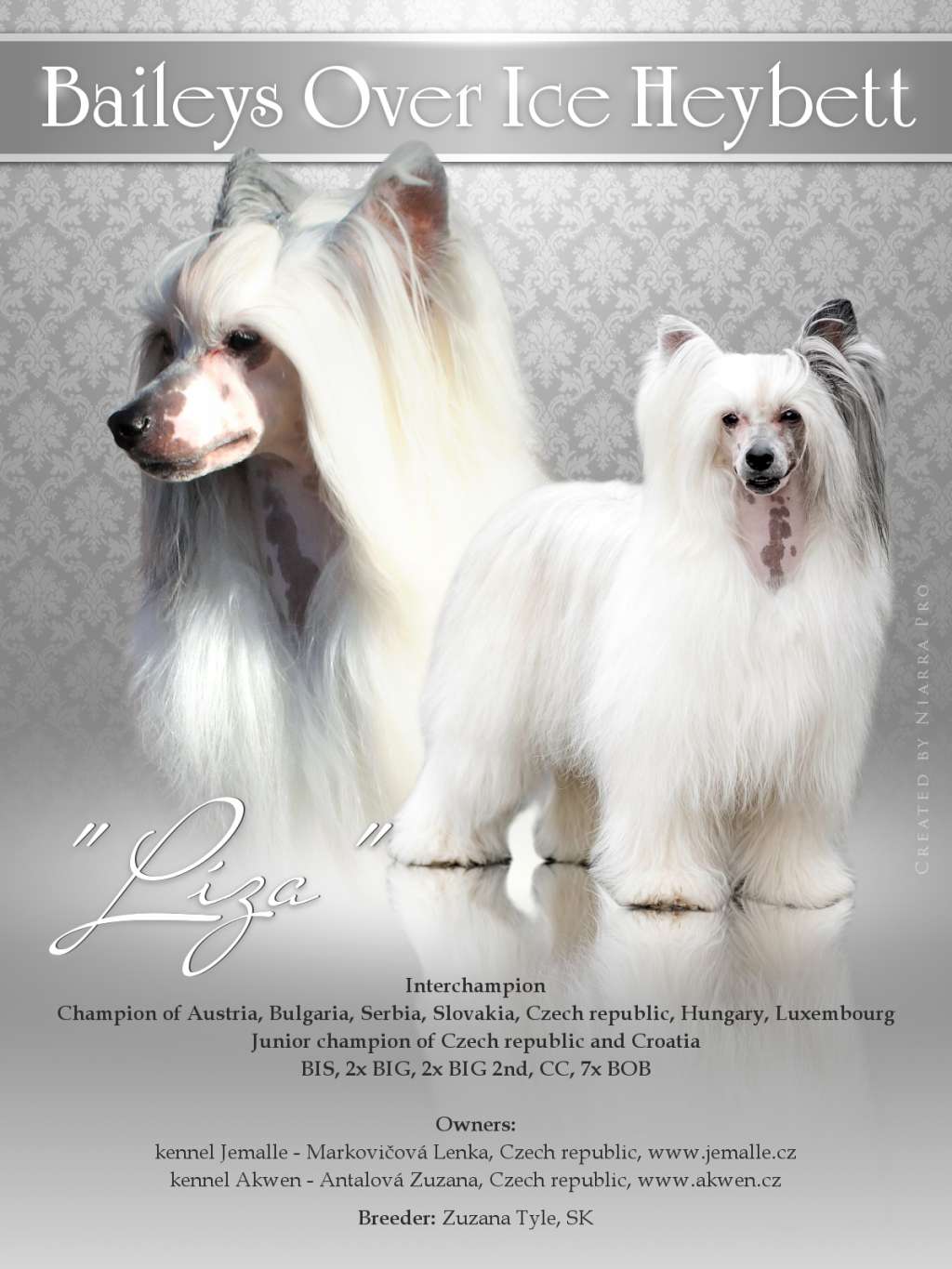 Baileys Over Ice Heybett