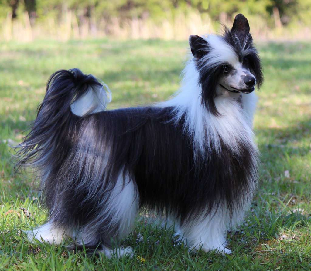 Best of the Best Heybett