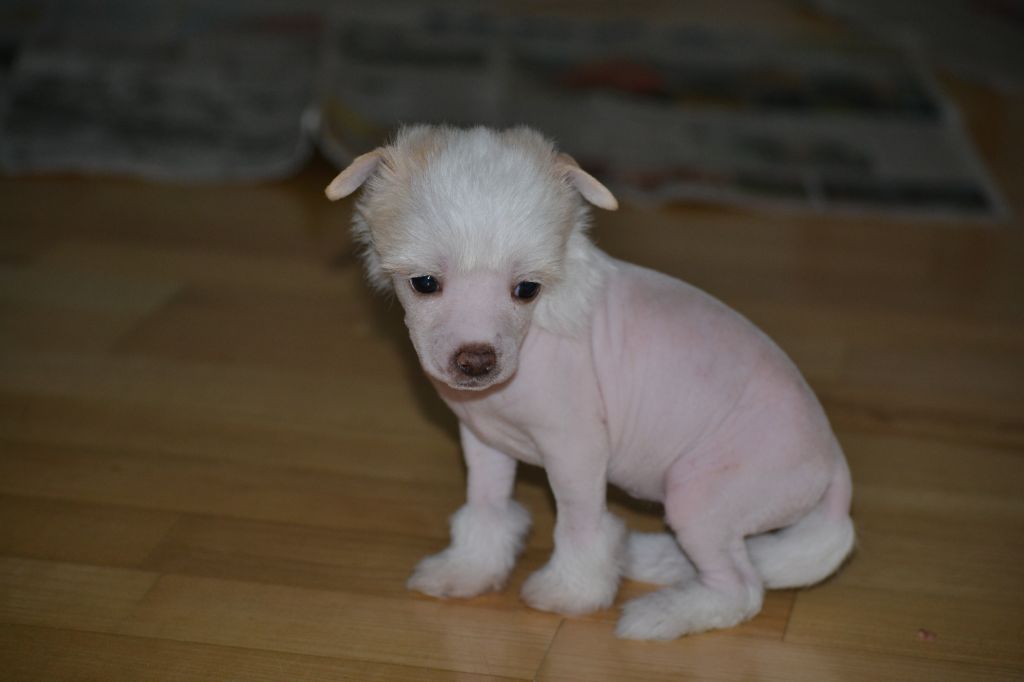 Fiabella's Keep Me Cute