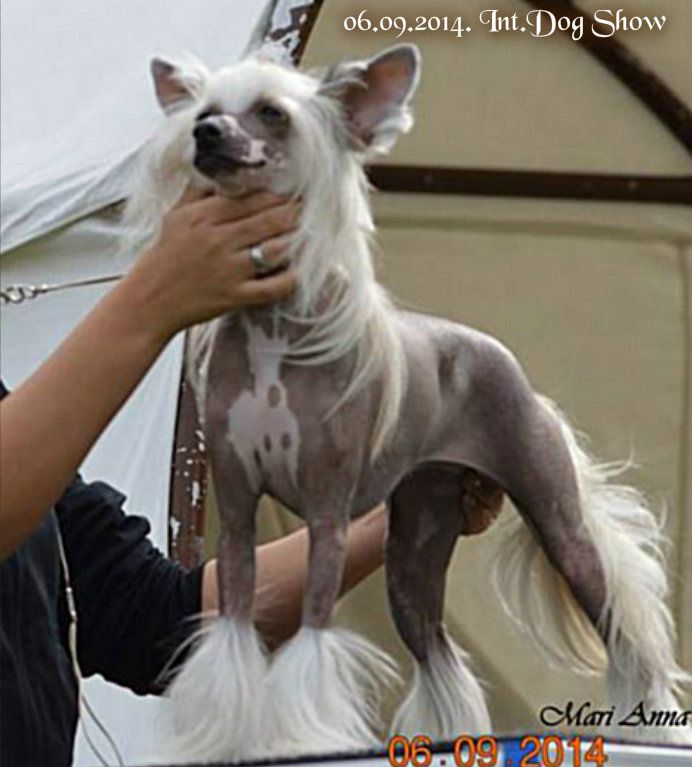 Fundoklia-völgyi Kaszanics Queenie