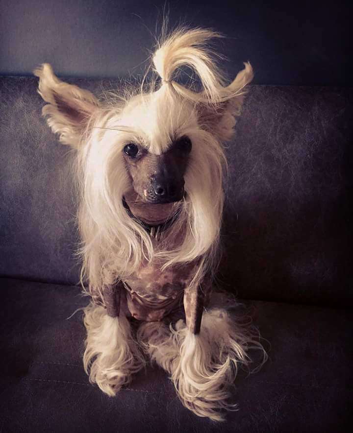 Landkris Infanta Beatriz