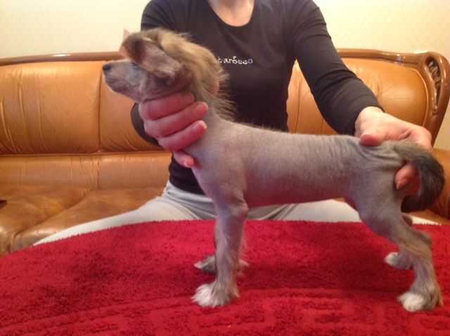 Naomi of the Magical World