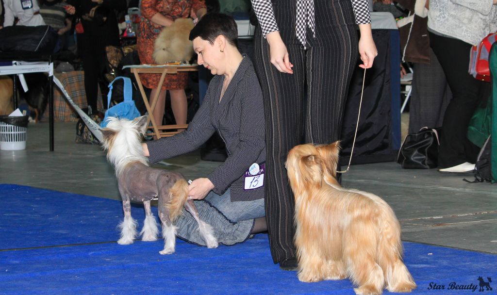 Eugenica Vittoria dell' Amore