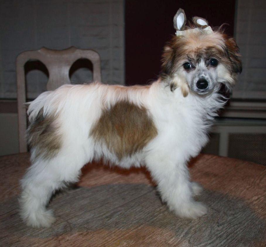 Favourite Joy Billie Jean