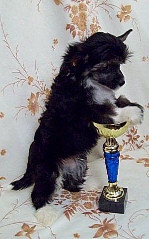 Angel O' Check Aventure D'amour.