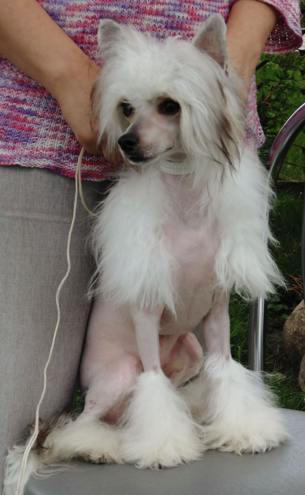 Angel O' Check Amour Partage.