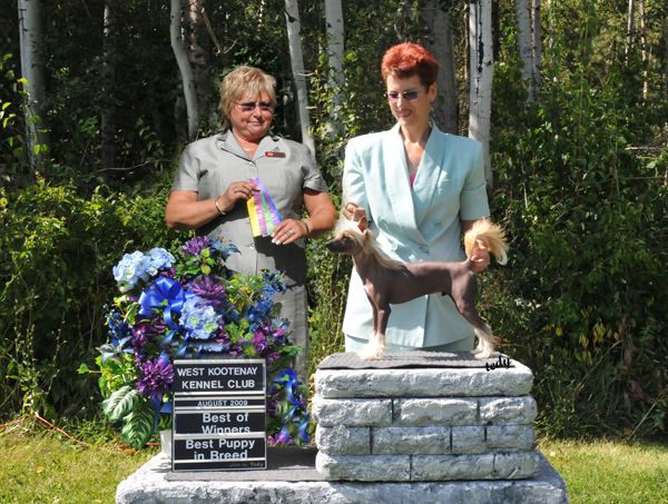 Ch. Tilea N Sunberry's Zazu