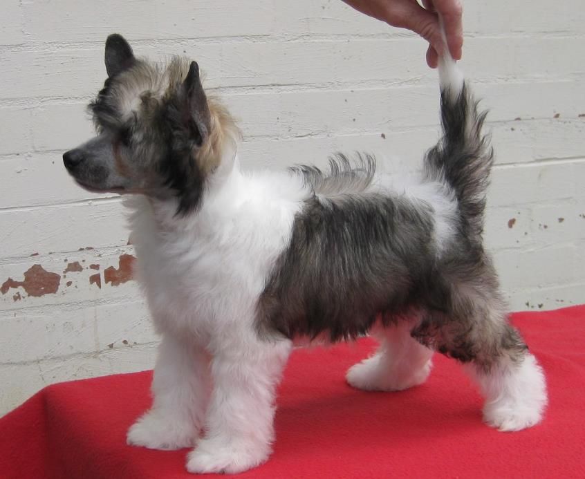 Kimissa Colour By Design