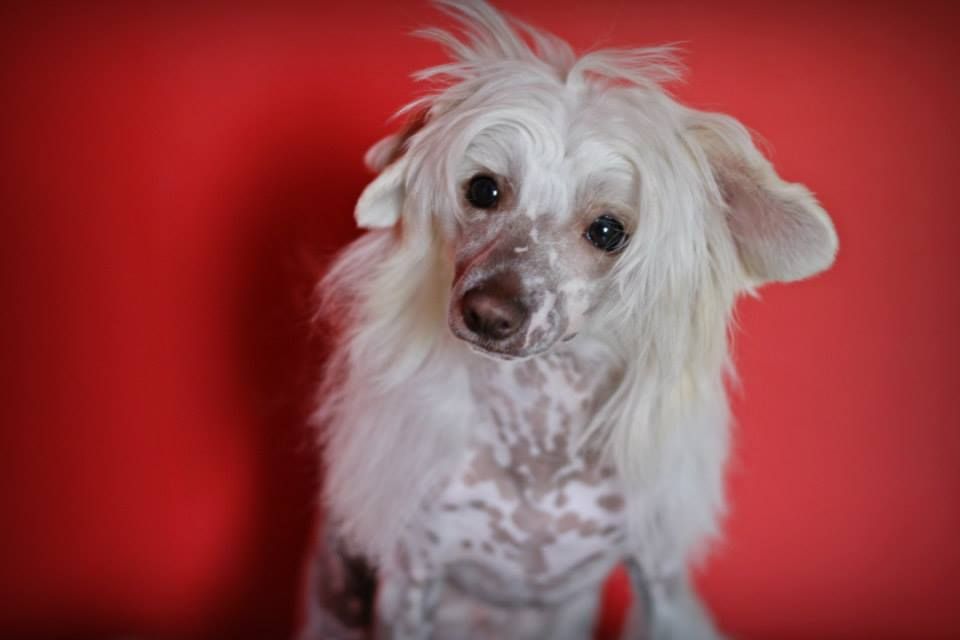 Addicted to Money Albara