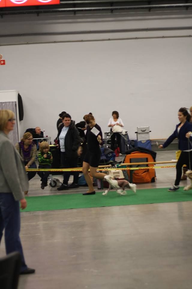 Addicted to Lucky Albara