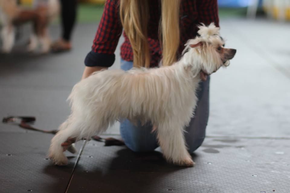 Addicted to Love Albara