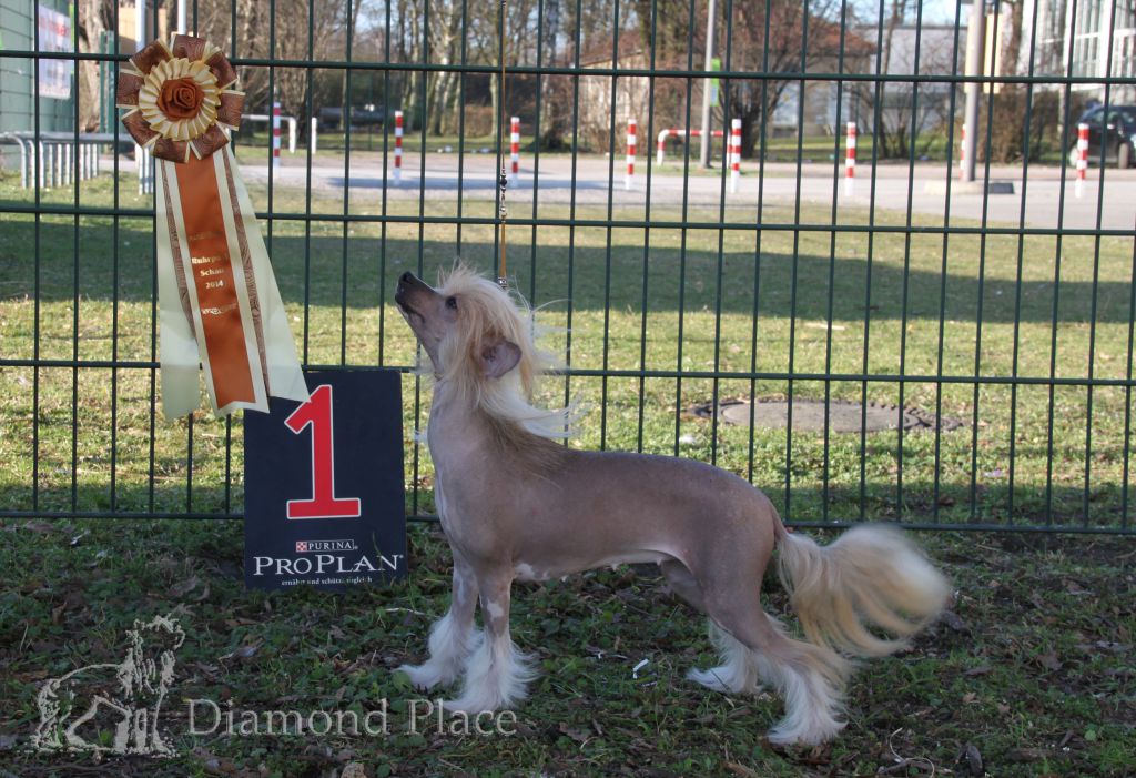 Lakeesha Shanita Diamond Place