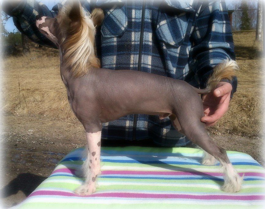 Tournais Sunnyside Blues Goes Nude