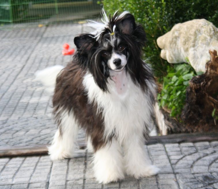 Indecent Proposal of Angel's Legacy