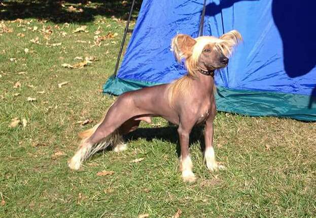 Tournais Slippery When Wet