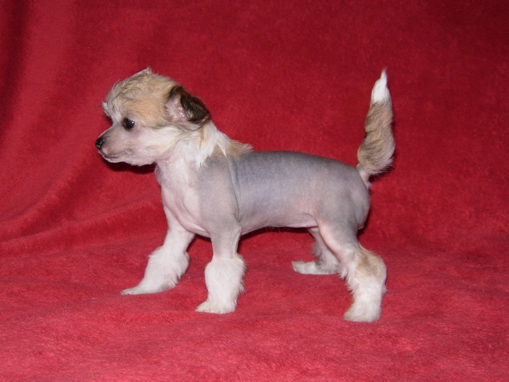 Delphine gala just beauty