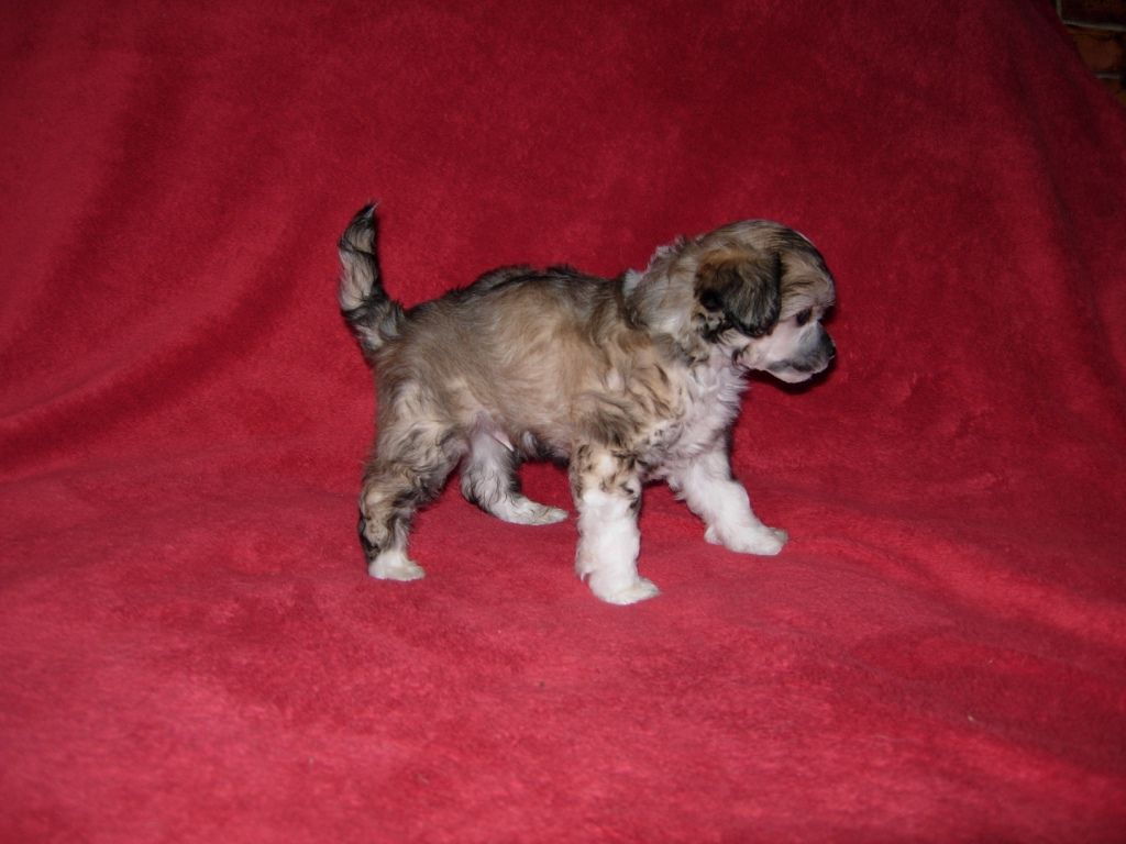 Denim blues just beauty